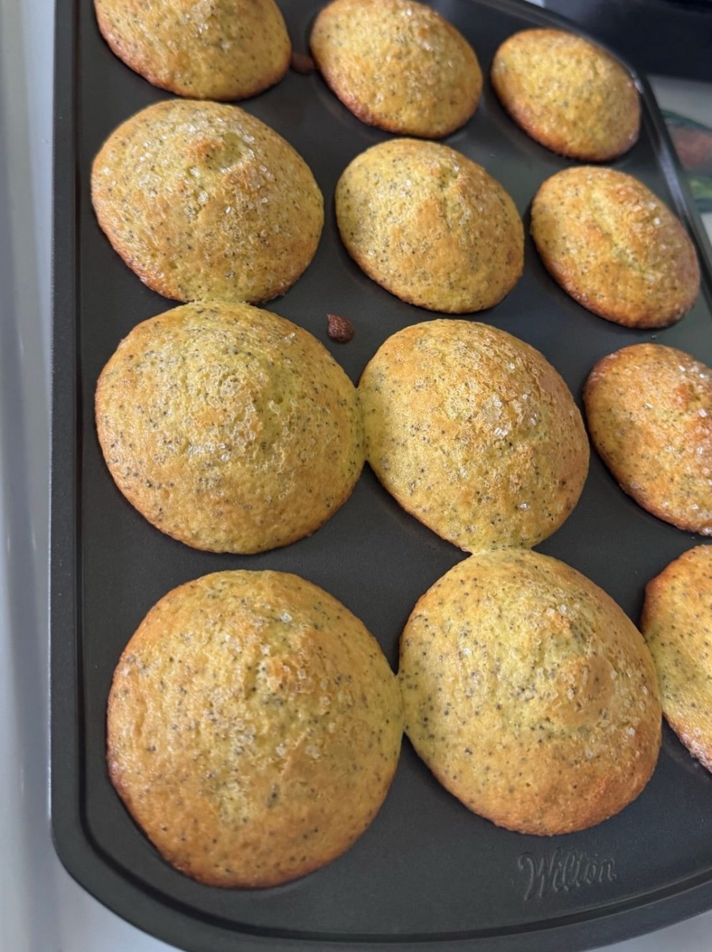 Bakery-Style Lemon Poppy Seed&nbsp;Muffins
